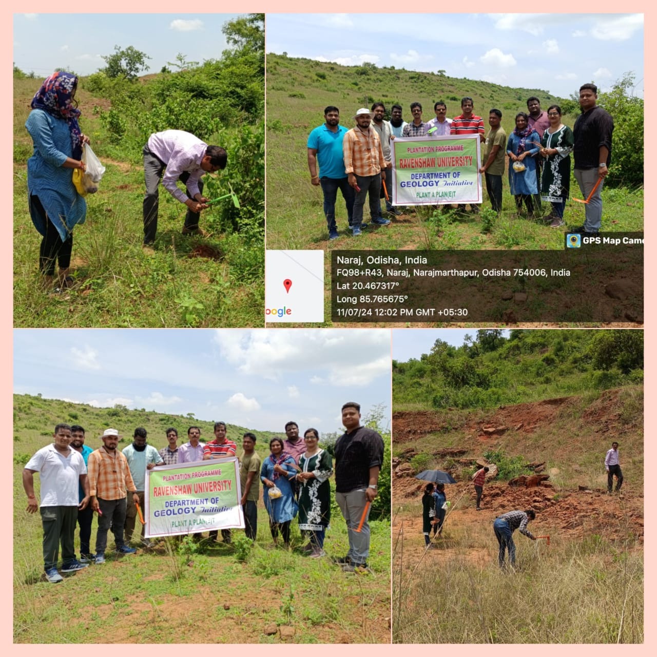 Plantation Programme